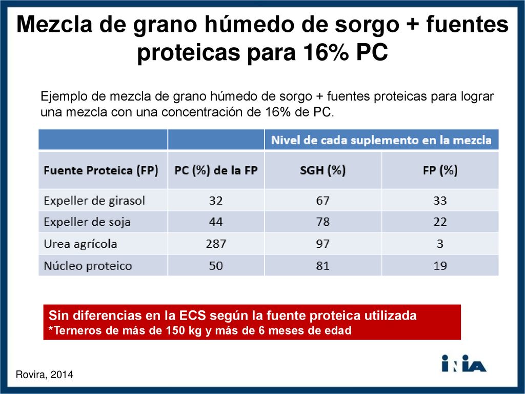 Mezcla de grano húmedo de sorgo + fuentes proteicas para 16% PC