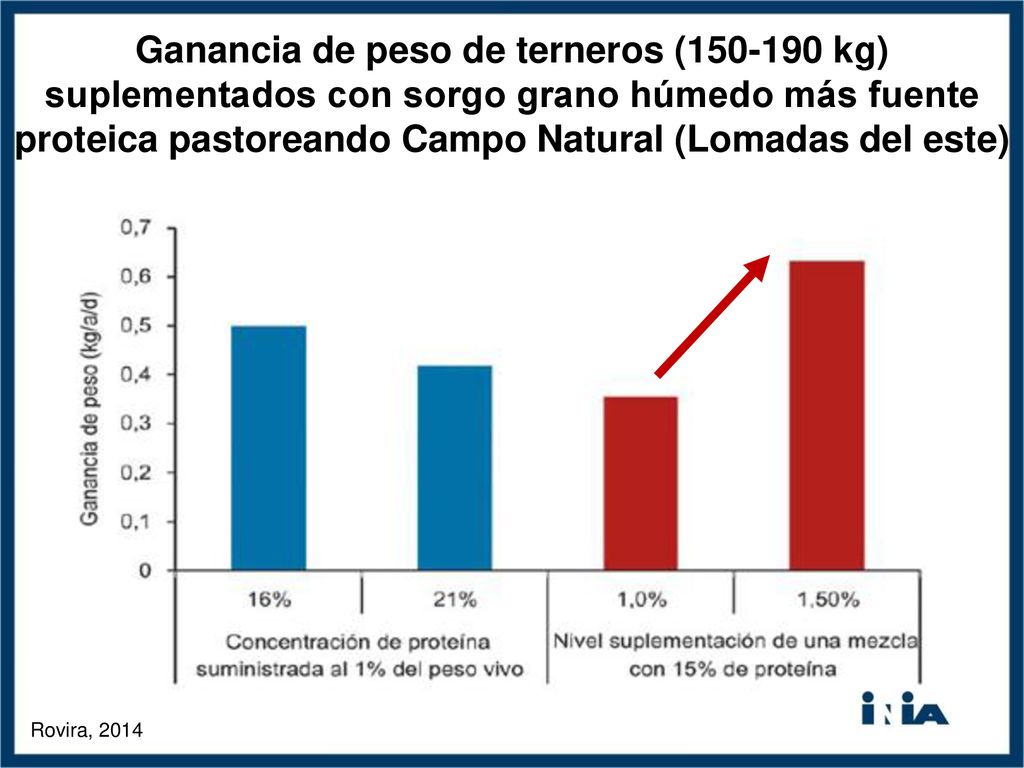 Ganancia de peso de terneros ( kg) suplementados con sorgo grano húmedo más fuente proteica pastoreando Campo Natural (Lomadas del este)