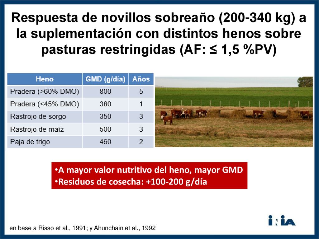 Respuesta de novillos sobreaño ( kg) a la suplementación con distintos henos sobre pasturas restringidas (AF: ≤ 1,5 %PV)