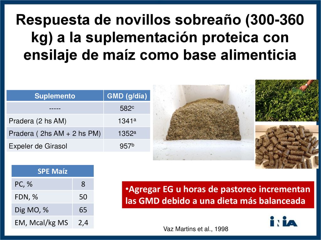 Respuesta de novillos sobreaño ( kg) a la suplementación proteica con ensilaje de maíz como base alimenticia