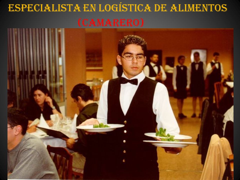 Especialista en Logística de Alimentos