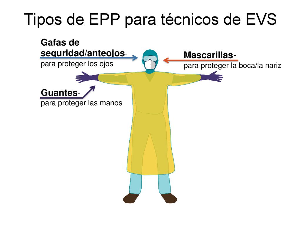 Tipos de EPP para técnicos de EVS