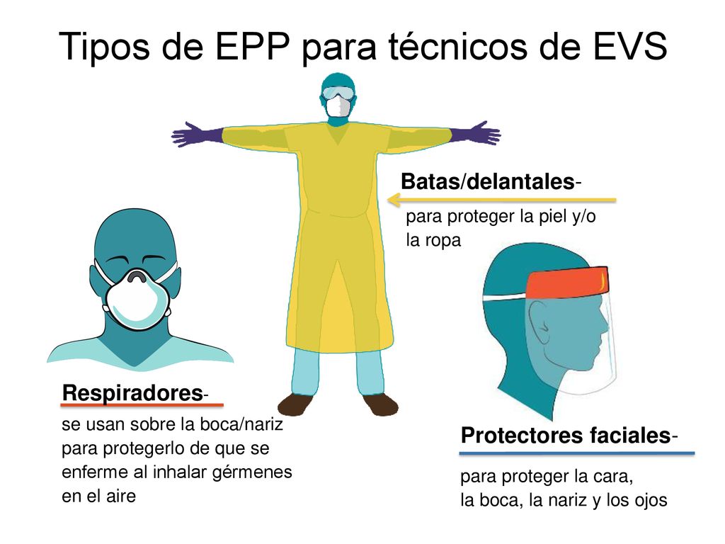 Tipos de EPP para técnicos de EVS