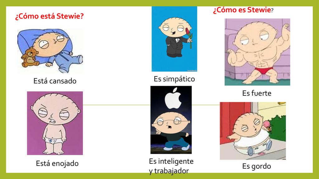 ¿Cómo es Stewie ¿Cómo está Stewie Es simpático. Está cansado. Es fuerte. Es inteligente y trabajador.