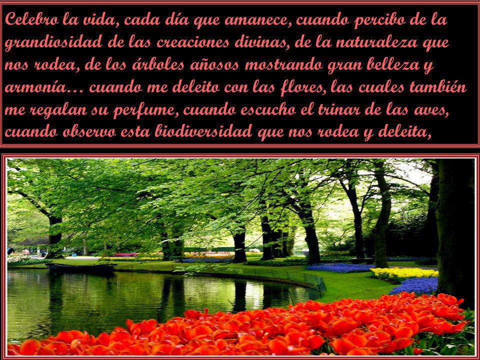 Celebro la vida, cada día que amanece, cuando percibo de la grandiosidad de las creaciones divinas, de la naturaleza que nos rodea, de los árboles añosos mostrando gran belleza y armonía… cuando me deleito con las flores, las cuales también me regalan su perfume, cuando escucho el trinar de las aves, cuando observo esta biodiversidad que nos rodea y deleita,