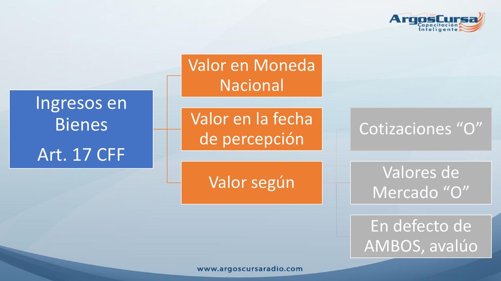 Ingresos en Bienes Art. 17 CFF Valor en Moneda Nacional