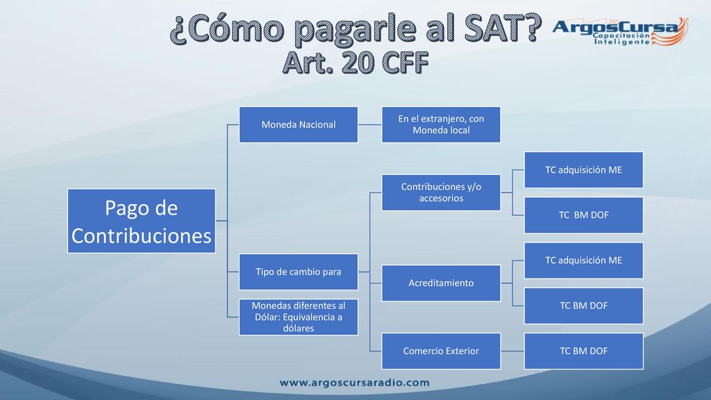 ¿Cómo pagarle al SAT Art. 20 CFF Pago de Contribuciones