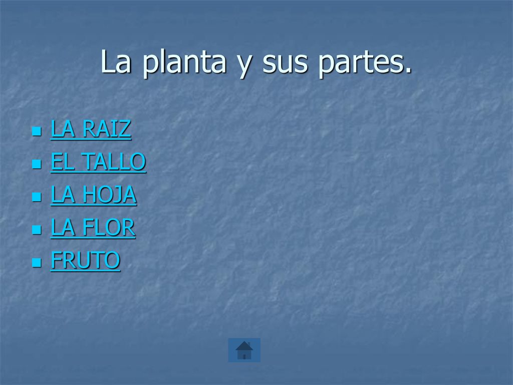 La planta y sus partes. LA RAIZ EL TALLO LA HOJA LA FLOR FRUTO