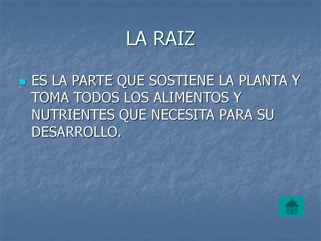 LA RAIZ ES LA PARTE QUE SOSTIENE LA PLANTA Y TOMA TODOS LOS ALIMENTOS Y NUTRIENTES QUE NECESITA PARA SU DESARROLLO.