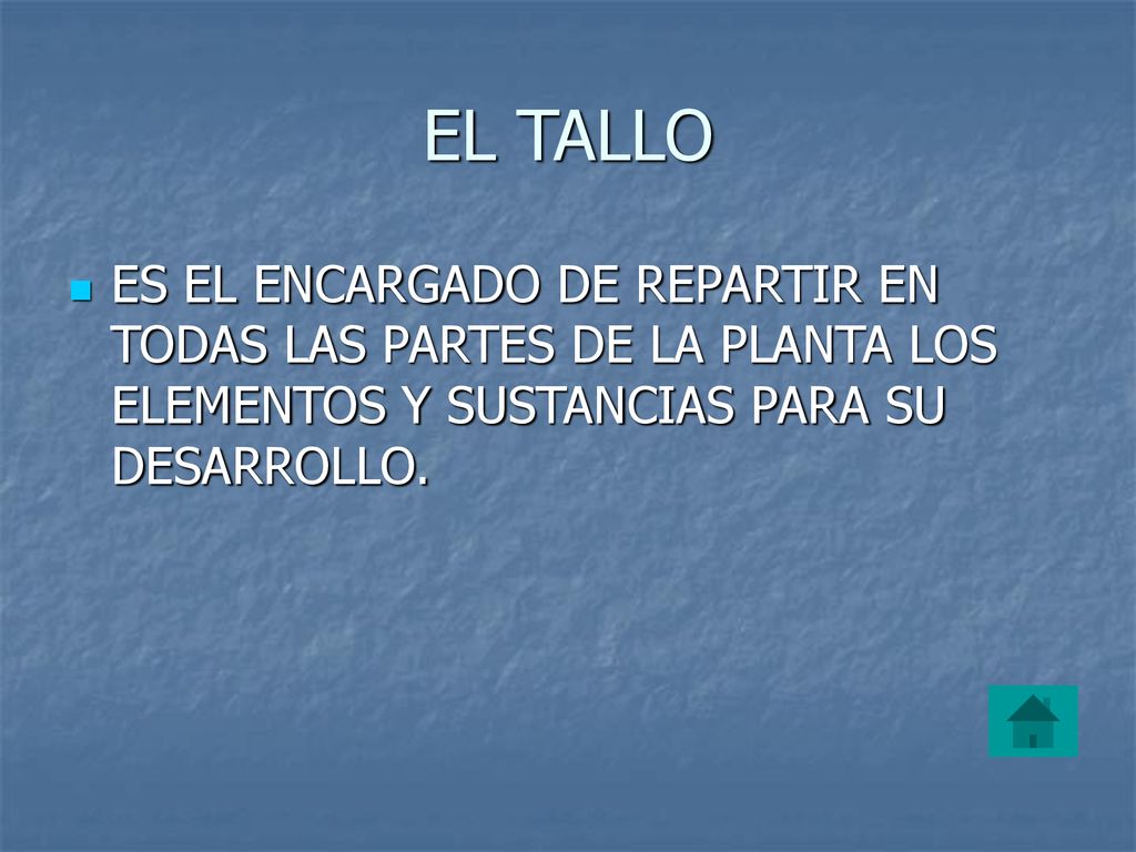 EL TALLO ES EL ENCARGADO DE REPARTIR EN TODAS LAS PARTES DE LA PLANTA LOS ELEMENTOS Y SUSTANCIAS PARA SU DESARROLLO.