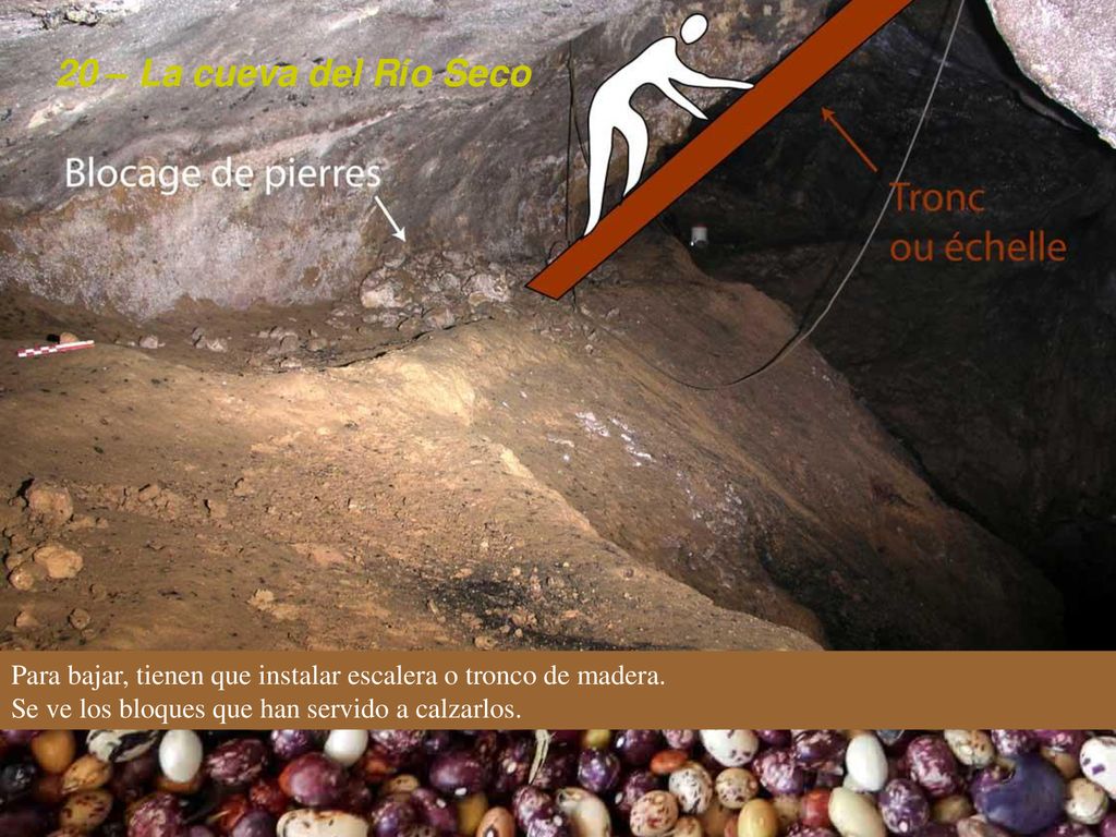 20 – La cueva del Río Seco Para bajar, tienen que instalar escalera o tronco de madera.