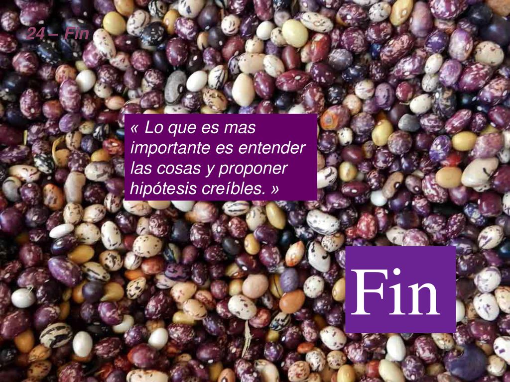 24 – Fin « Lo que es mas importante es entender las cosas y proponer hipótesis creíbles. » Fin