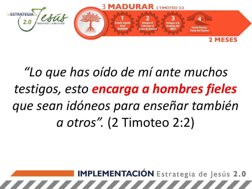 Lo que has oído de mí ante muchos testigos, esto encarga a hombres fieles que sean idóneos para enseñar también a otros .