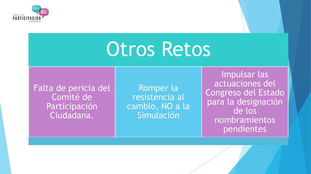 Otros Retos Falta de pericia del Comité de Participación Ciudadana.