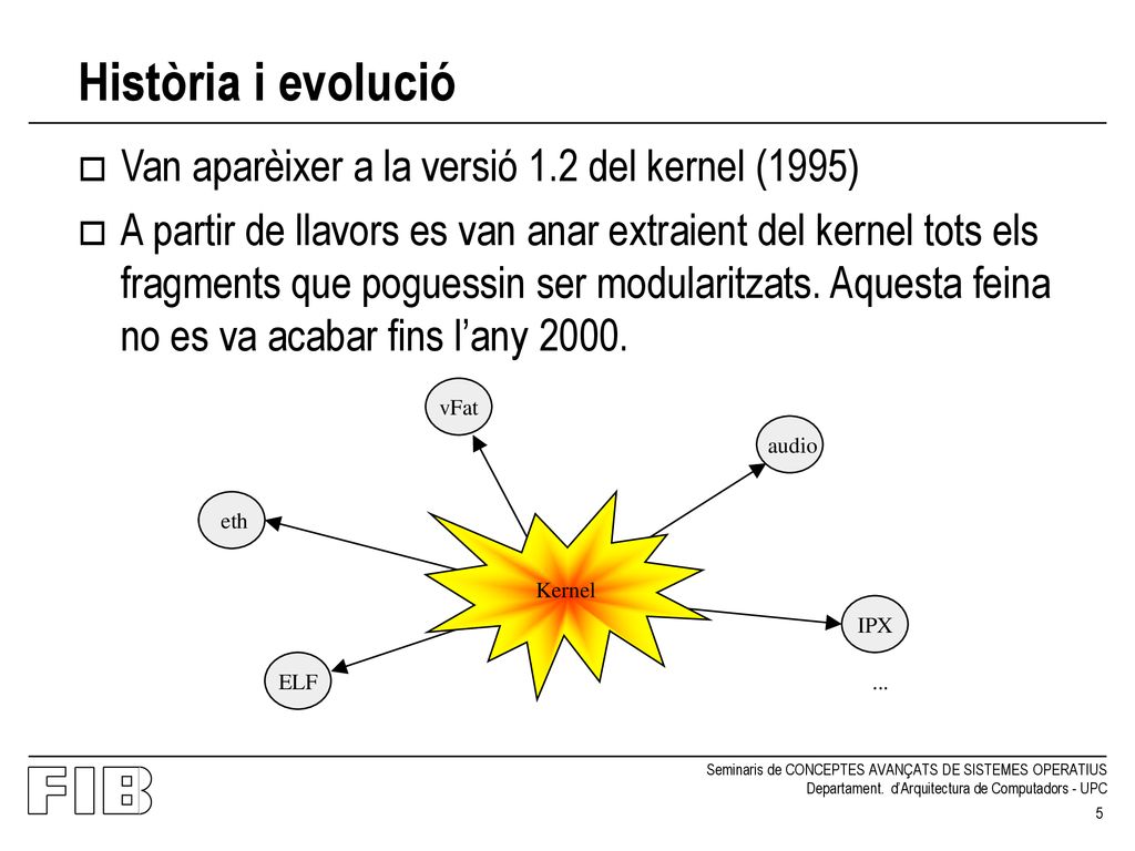 Història i evolució Van aparèixer a la versió 1.2 del kernel (1995)