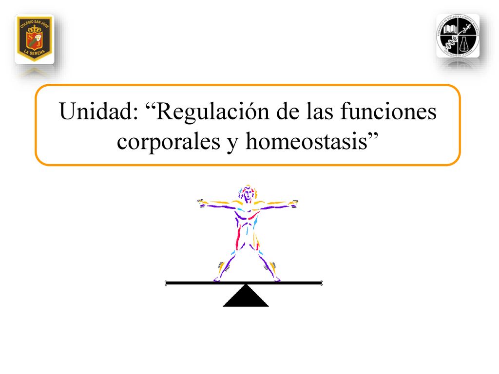 Unidad: Regulación de las funciones corporales y homeostasis
