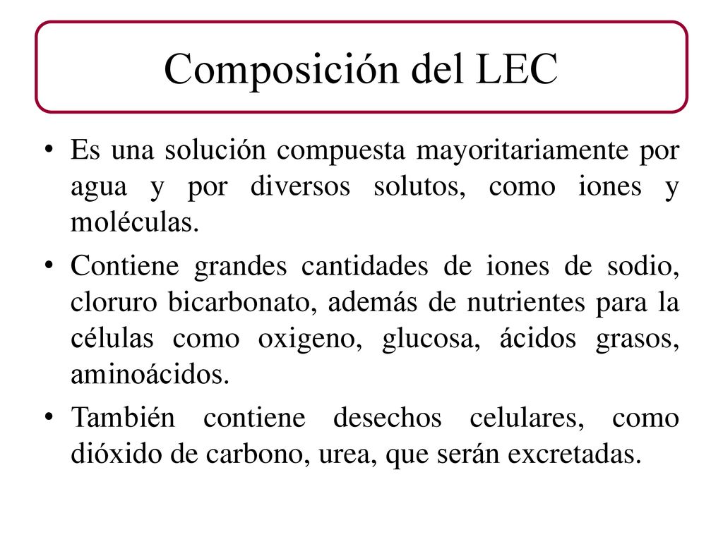 Composición del LEC Es una solución compuesta mayoritariamente por agua y por diversos solutos, como iones y moléculas.