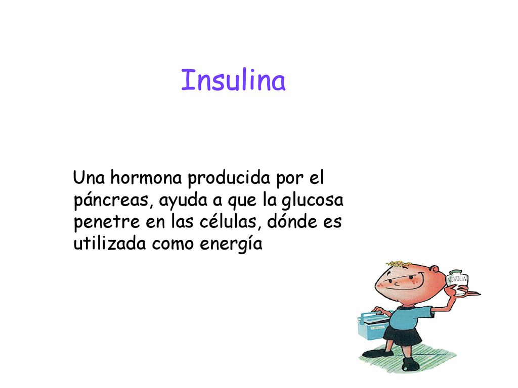 Insulina Una hormona producida por el páncreas, ayuda a que la glucosa penetre en las células, dónde es utilizada como energía.