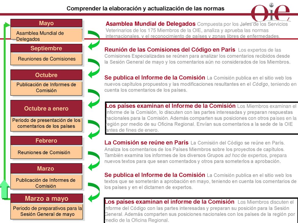 Comprender la elaboración y actualización de las normas