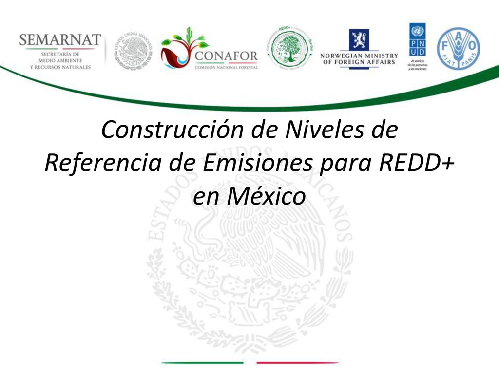 Construcción de Niveles de Referencia de Emisiones para REDD+ en México