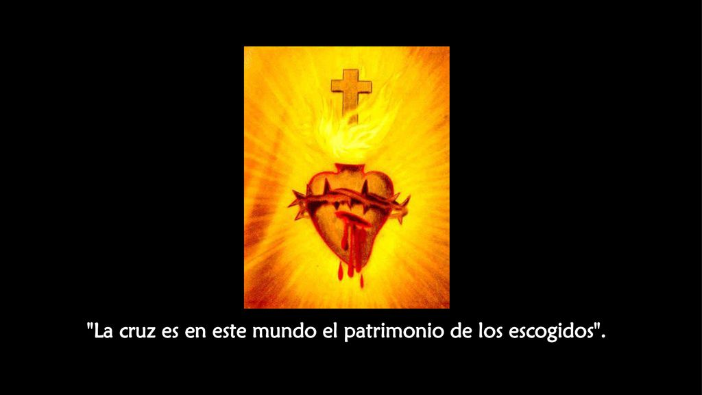 La cruz es en este mundo el patrimonio de los escogidos .