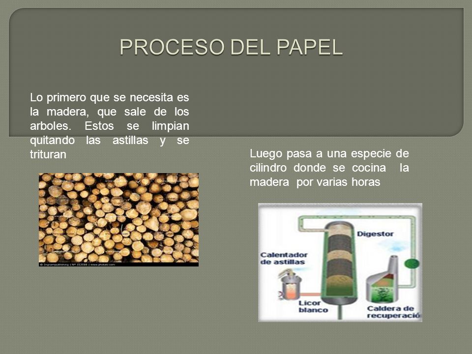 PROCESO DEL PAPEL Lo primero que se necesita es la madera, que sale de los arboles. Estos se limpian quitando las astillas y se trituran.