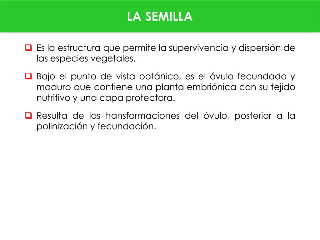 LA SEMILLA Es la estructura que permite la supervivencia y dispersión de las especies vegetales.