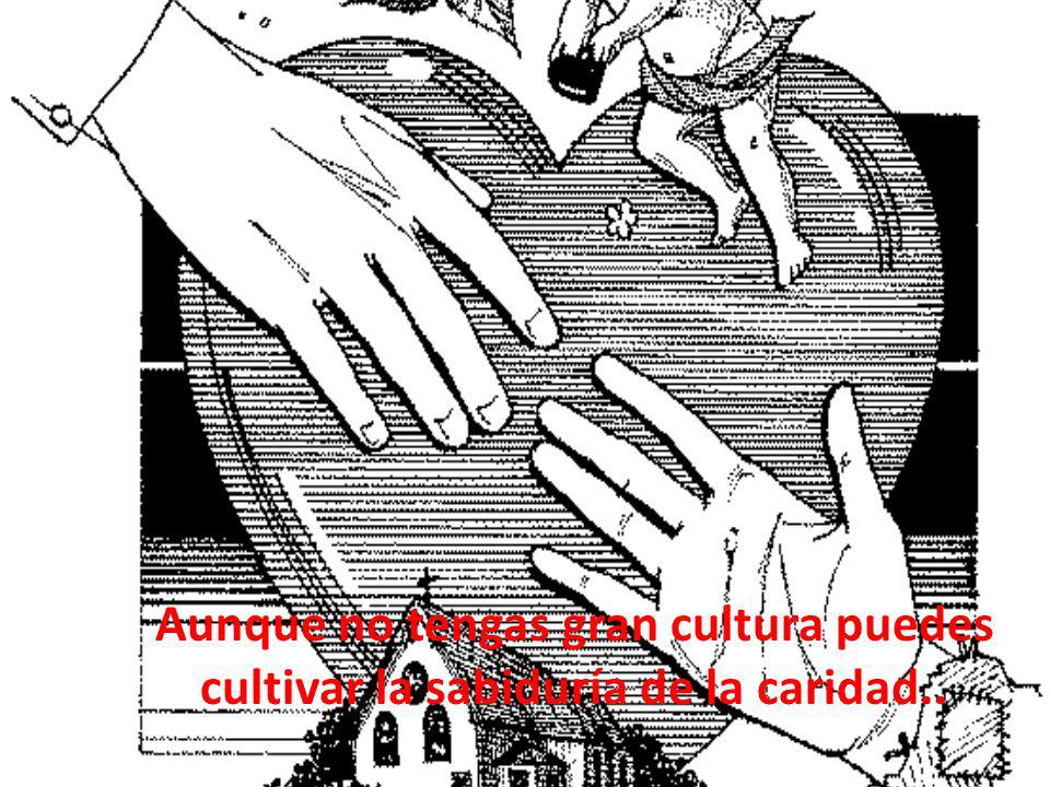 Aunque no tengas gran cultura puedes cultivar la sabiduría de la caridad..