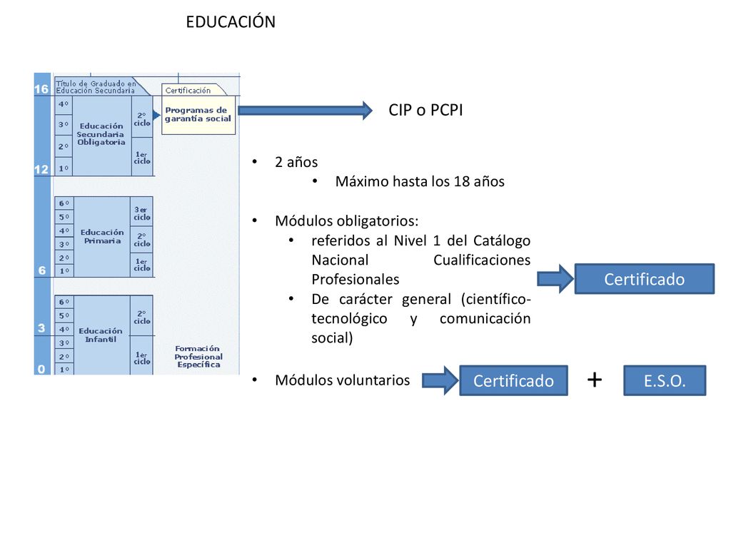 + EDUCACIÓN CIP o PCPI Certificado Certificado E.S.O. 2 años