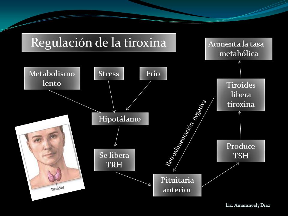 Regulación de la tiroxina