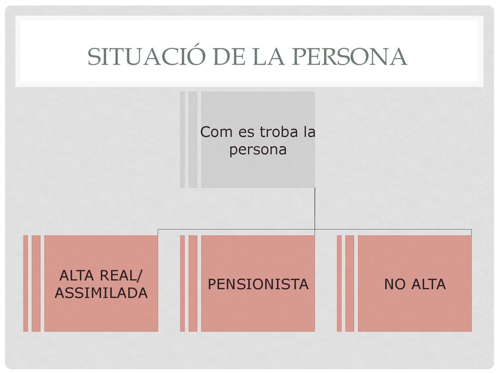SITUACIÓ DE LA PERSONA Com es troba la persona ALTA REAL/ ASSIMILADA