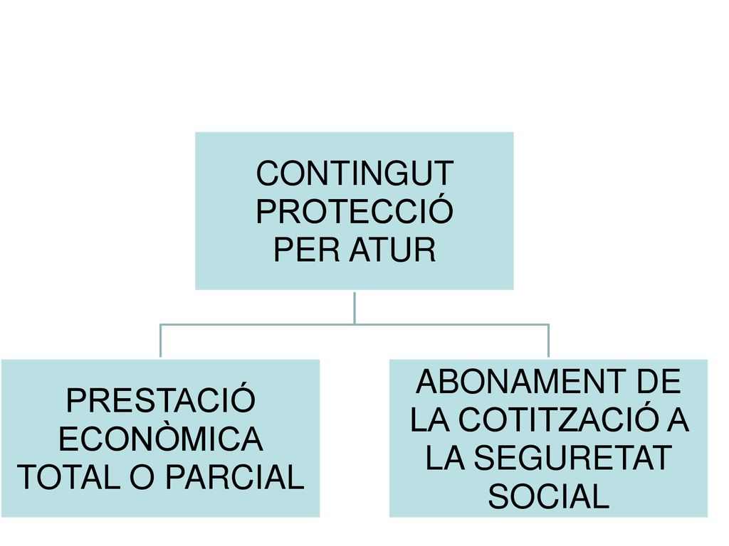 CONTINGUT PROTECCIÓ. PER ATUR. PRESTACIÓ. ECONÒMICA. TOTAL O PARCIAL. ABONAMENT DE. LA COTITZACIÓ A.