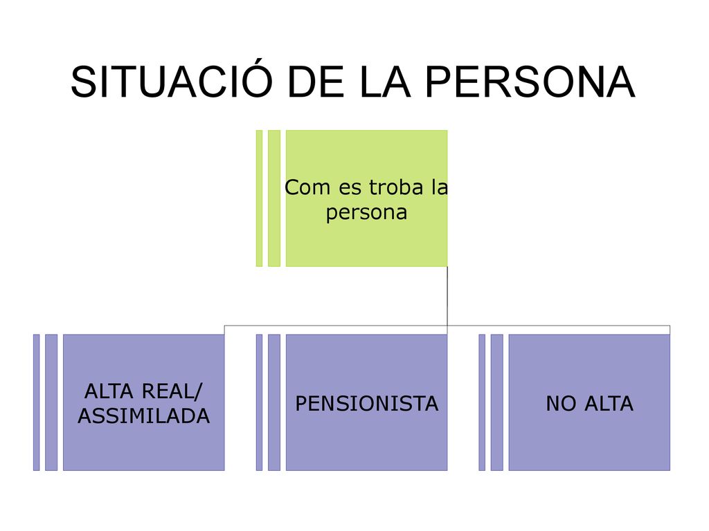 SITUACIÓ DE LA PERSONA Com es troba la persona ALTA REAL/ ASSIMILADA