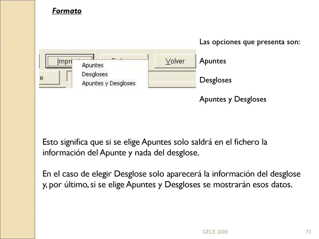 Formato Las opciones que presenta son: Apuntes. Desgloses. Apuntes y Desgloses.