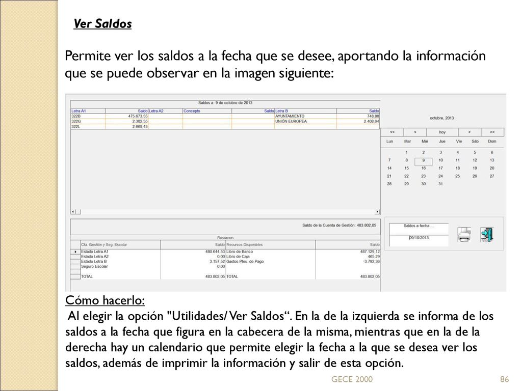 Ver Saldos Permite ver los saldos a la fecha que se desee, aportando la información que se puede observar en la imagen siguiente: