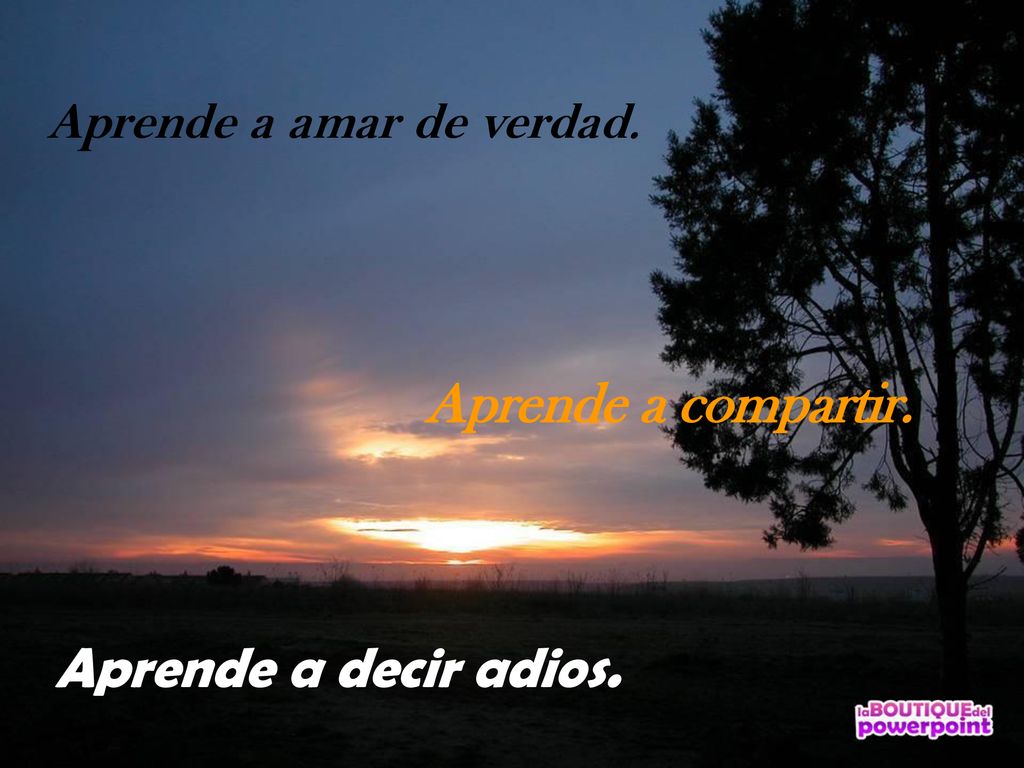 Aprende a compartir. Aprende a decir adios. Aprende a amar de verdad.