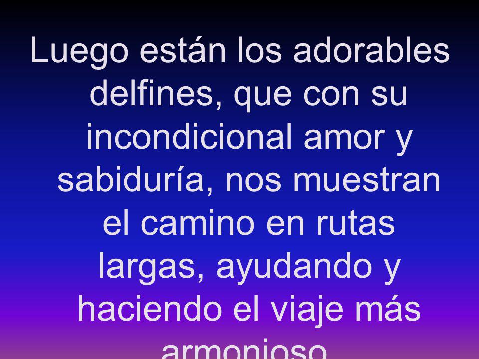 Luego están los adorables delfines, que con su incondicional amor y sabiduría, nos muestran el camino en rutas largas, ayudando y haciendo el viaje más armonioso.