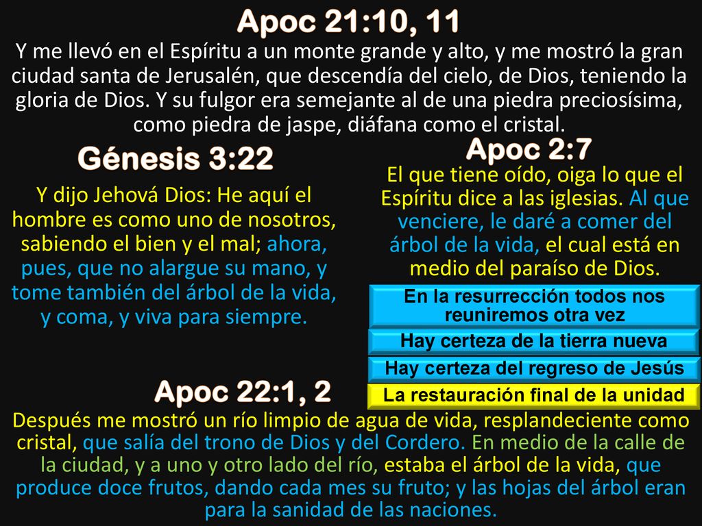Apoc 21:10, 11 Génesis 3:22 Apoc 2:7 Apoc 22:1, 2