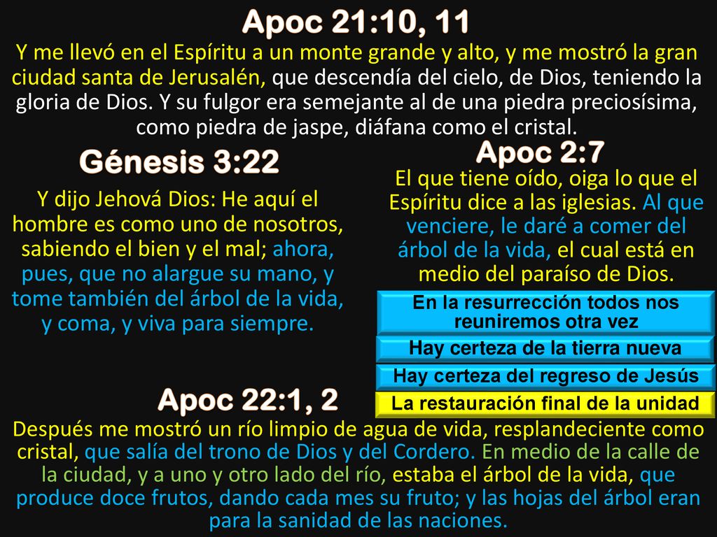 Apoc 21:10, 11 Génesis 3:22 Apoc 2:7 Apoc 22:1, 2