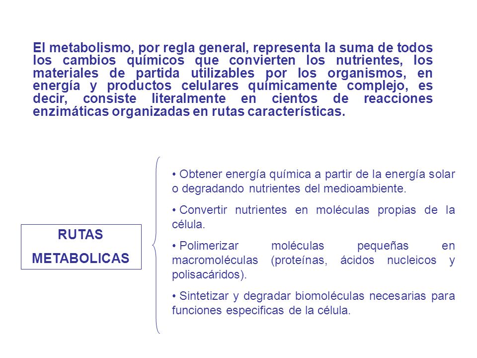 El metabolismo, por regla general, representa la suma de todos los cambios químicos que convierten los nutrientes, los materiales de partida utilizables por los organismos, en energía y productos celulares químicamente complejo, es decir, consiste literalmente en cientos de reacciones enzimáticas organizadas en rutas características.