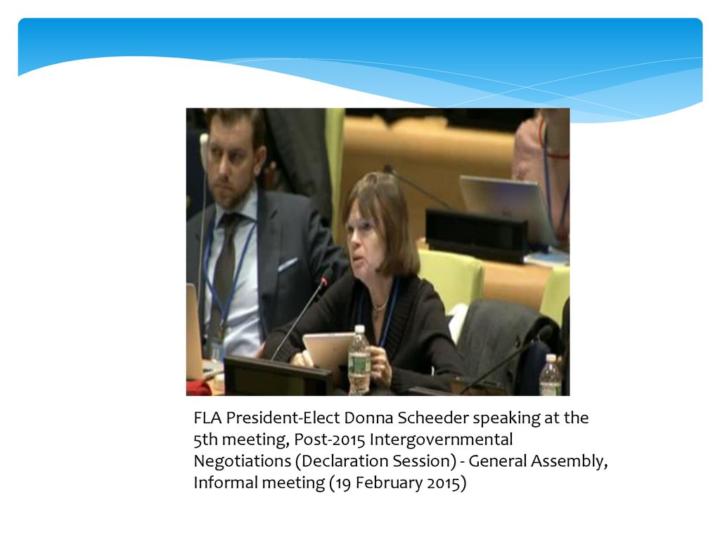 FLA President-Elect Donna Scheeder speaking at the 5th meeting, Post-2015 Intergovernmental Negotiations (Declaration Session) - General Assembly, Informal meeting (19 February 2015)