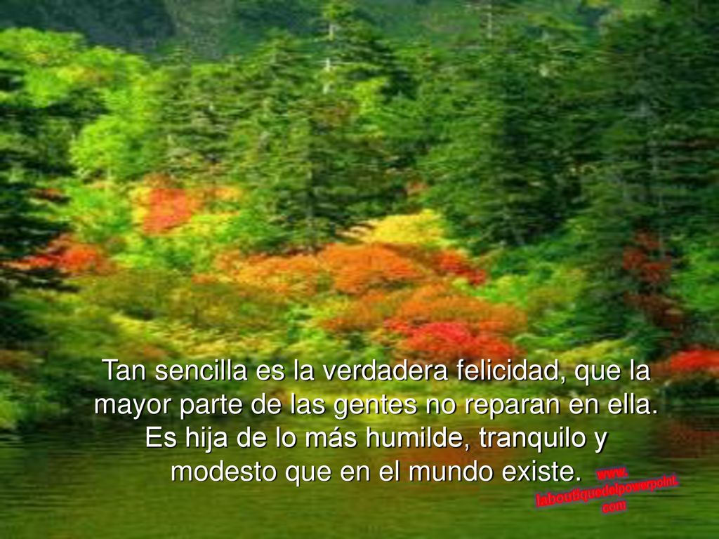 Tan sencilla es la verdadera felicidad, que la mayor parte de las gentes no reparan en ella.