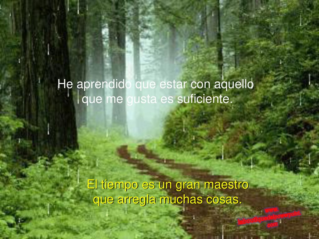 He aprendido que estar con aquello que me gusta es suficiente.