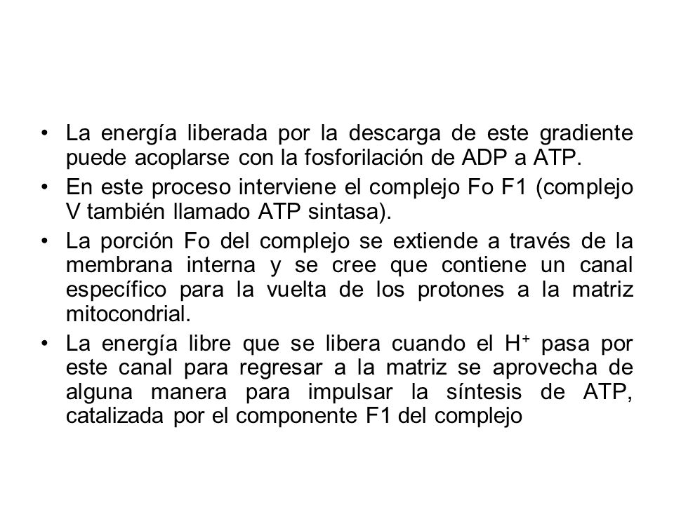 La energía liberada por la descarga de este gradiente puede acoplarse con la fosforilación de ADP a ATP.