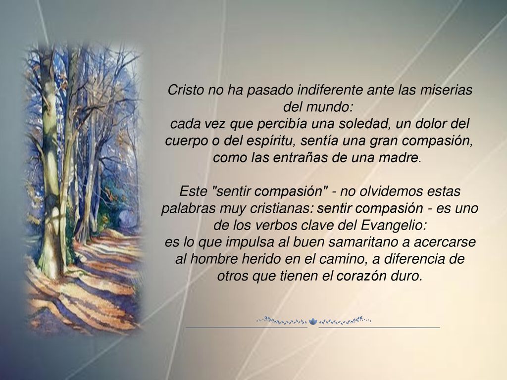Cristo no ha pasado indiferente ante las miserias del mundo: