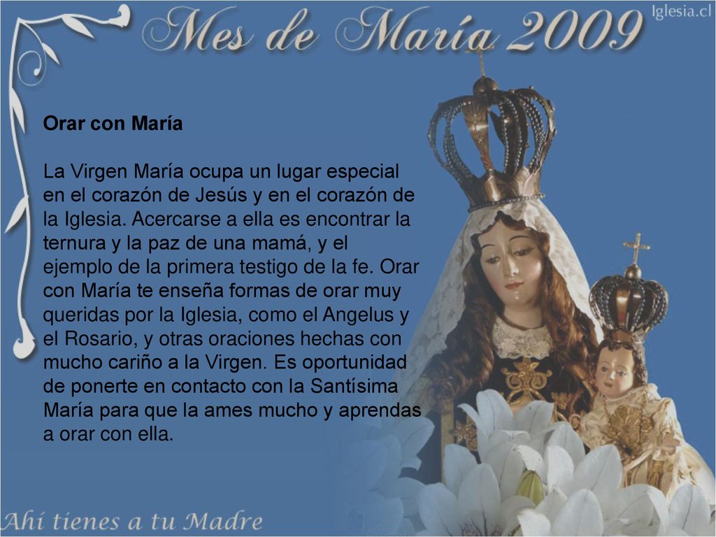 Orar con María La Virgen María ocupa un lugar especial en el corazón de Jesús y en el corazón de la Iglesia.