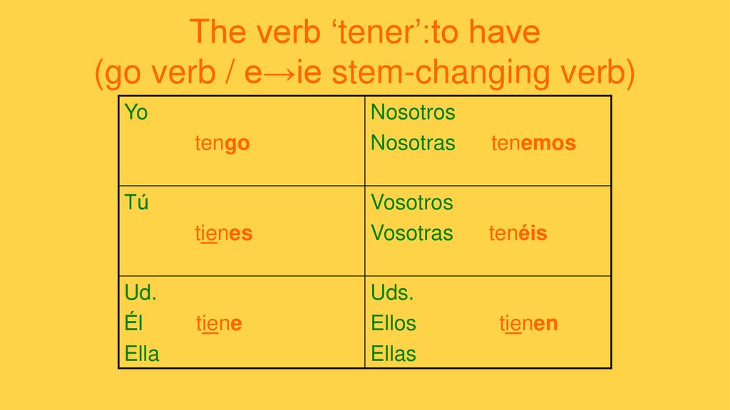 The verb ‘tener’:to have (go verb / e→ie stem-changing verb)