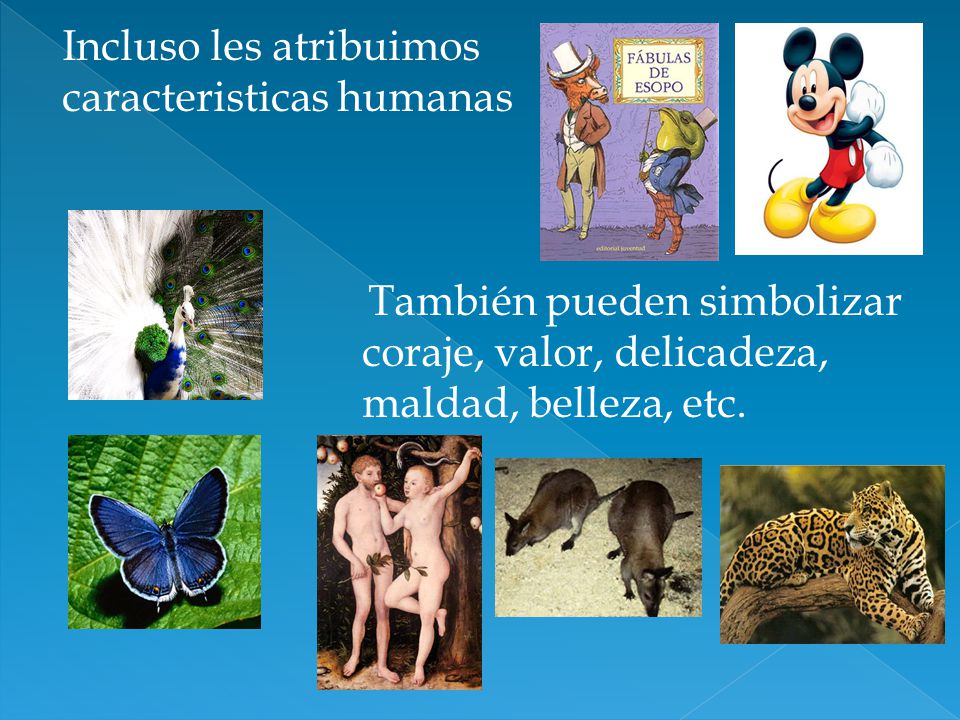 Incluso les atribuimos caracteristicas humanas