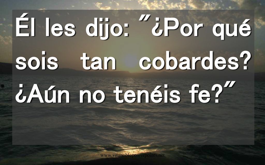 Él les dijo: ¿Por qué sois tan cobardes ¿Aún no tenéis fe