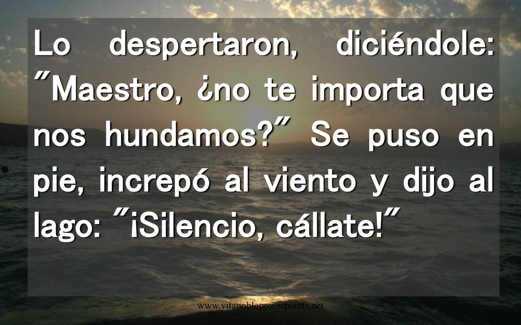 Lo despertaron, diciéndole: Maestro, ¿no te importa que nos hundamos